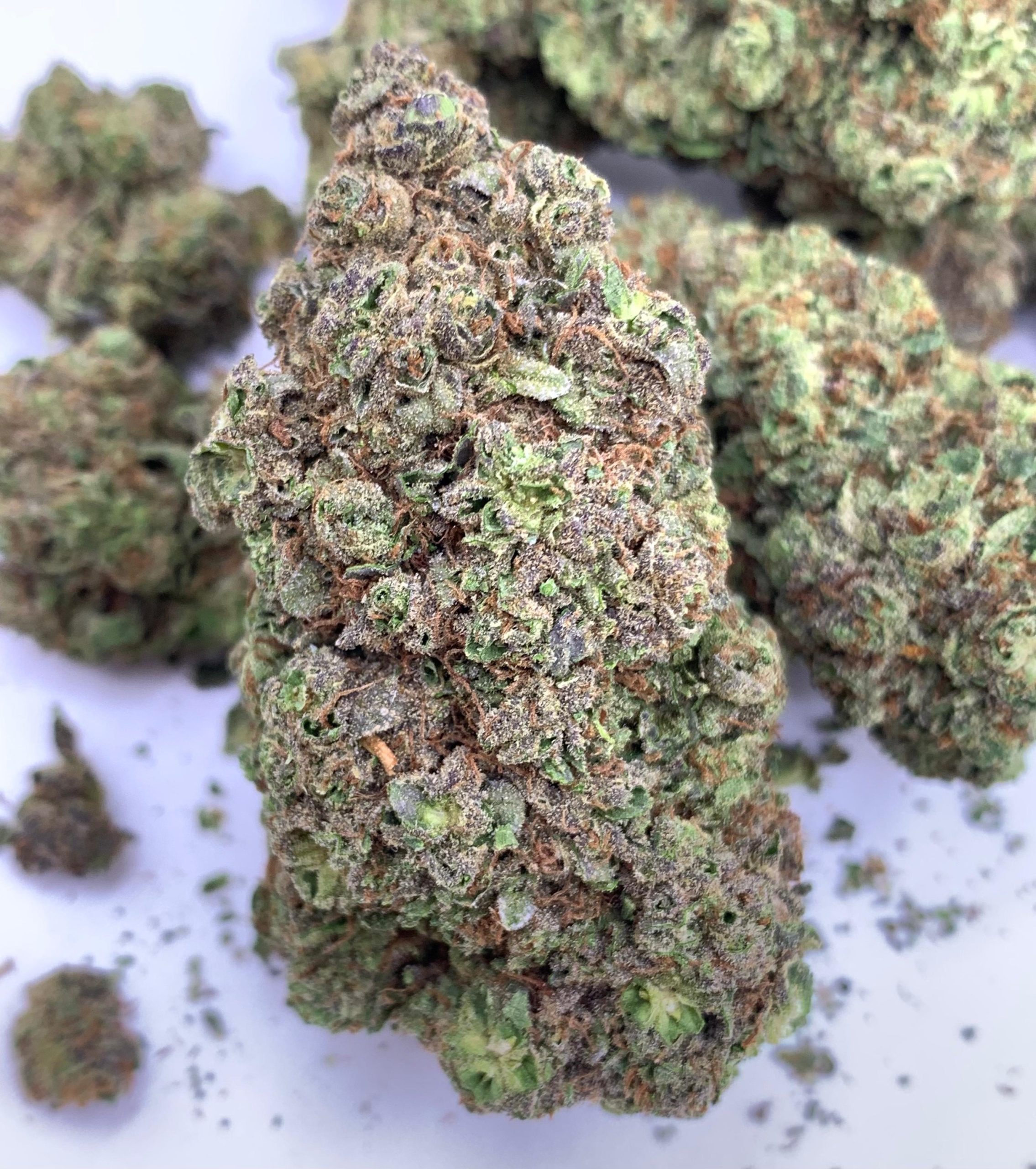 Blue dream  “Híbrida”