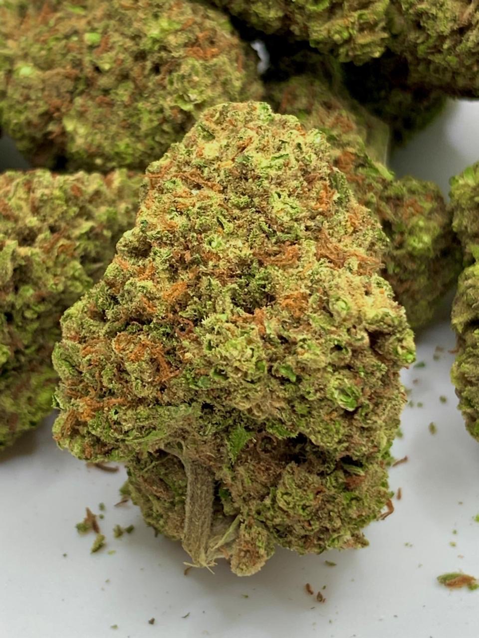 Cherry   «Indica»